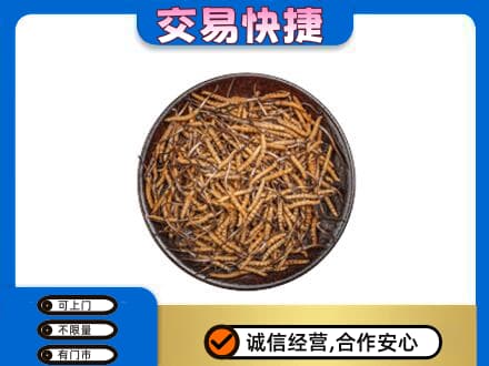 昭通鲁甸县回收散虫草